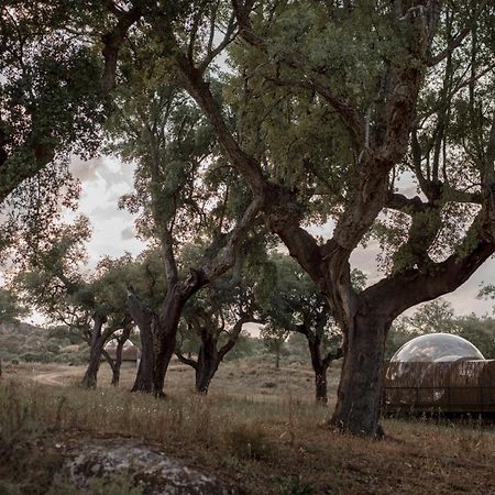 Finca El Cortinal Valencia de Alcántara Kültér fotó
