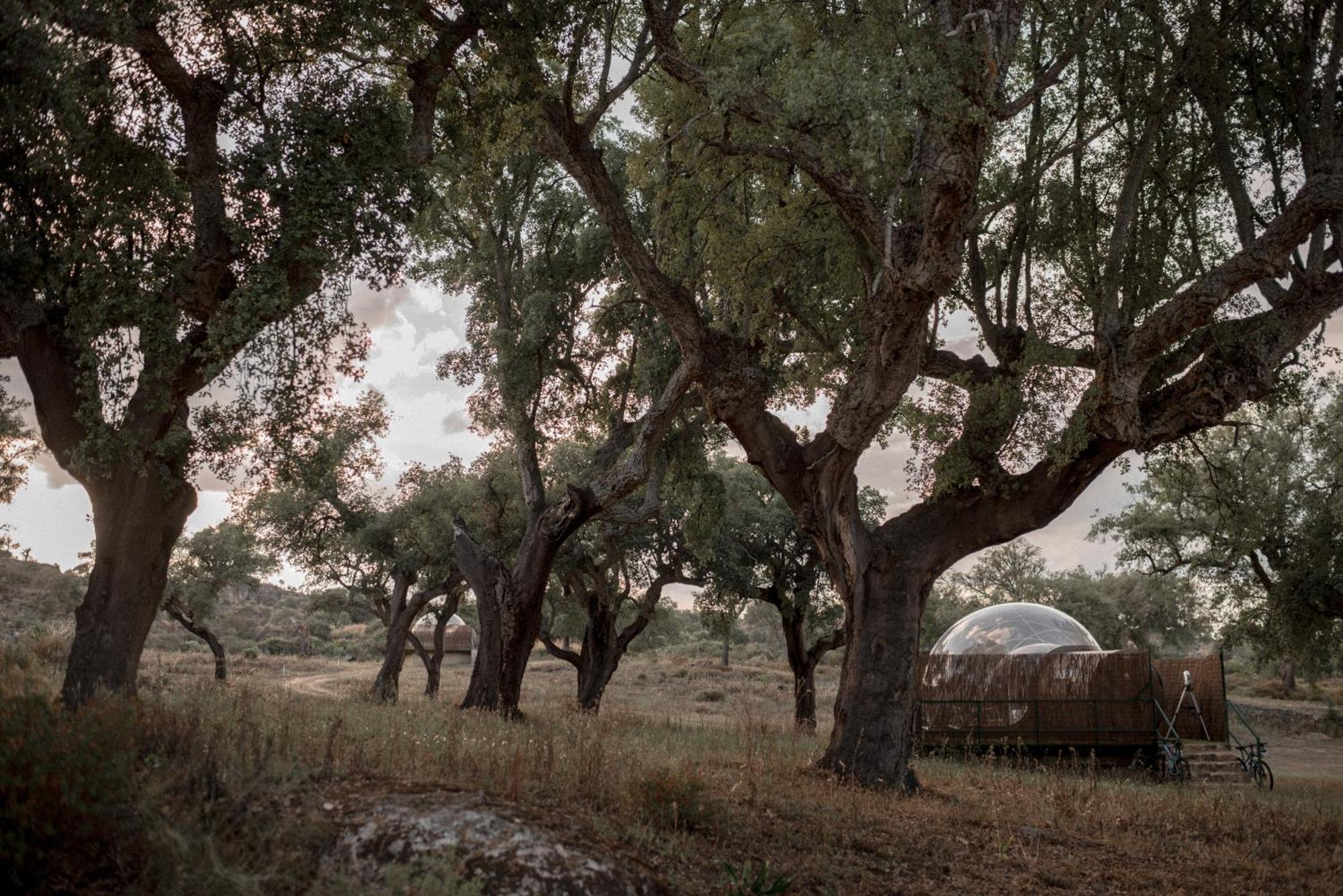 Finca El Cortinal Valencia de Alcántara Kültér fotó